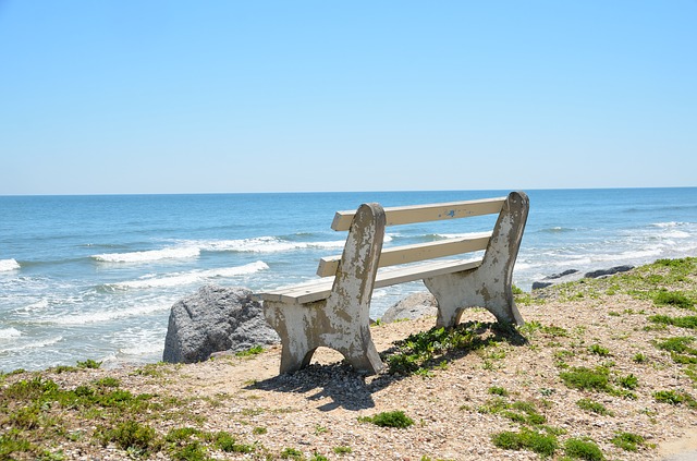 bench