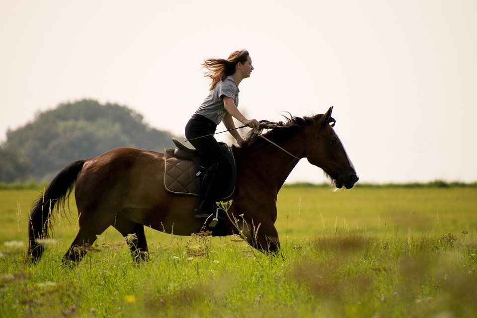 girl on horse